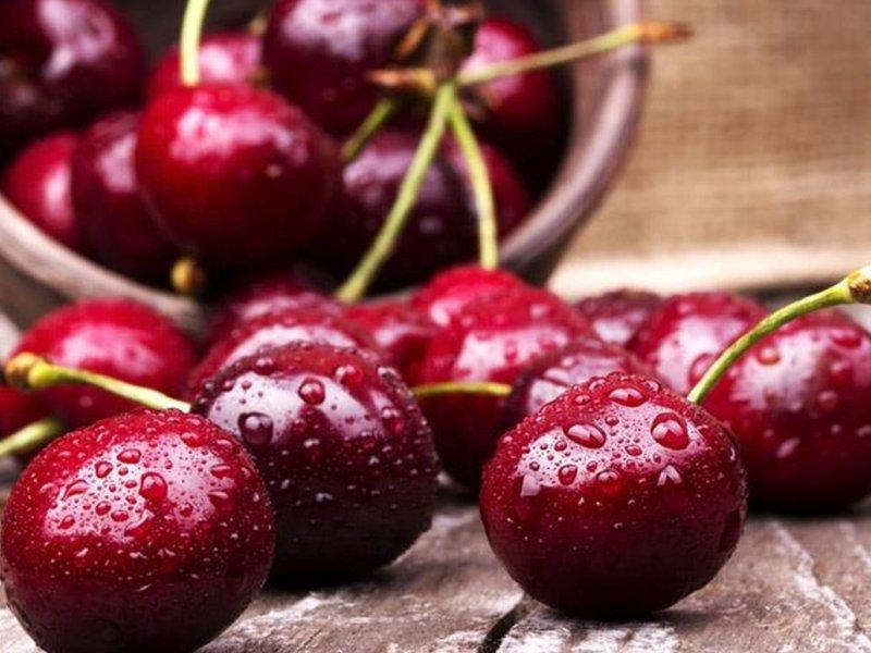 Вишня купить саженцы из питомника в Усть-Илимске